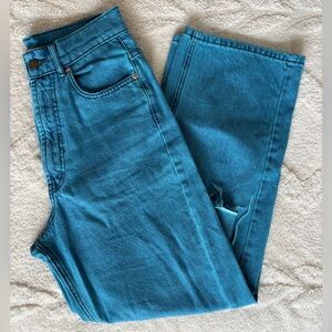 BDG Vibrant Blue Denim